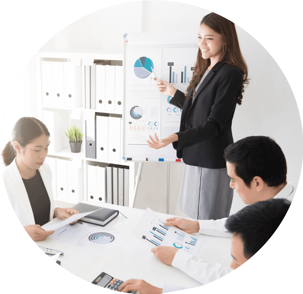 pro seo team SEO Professional Team