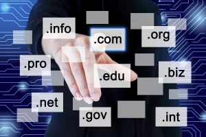 apa yang dimaksud dengan domain dan subdomain