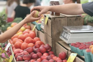 faktor yang mempengaruhi elastisitas permintaan