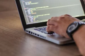 web developer adalah